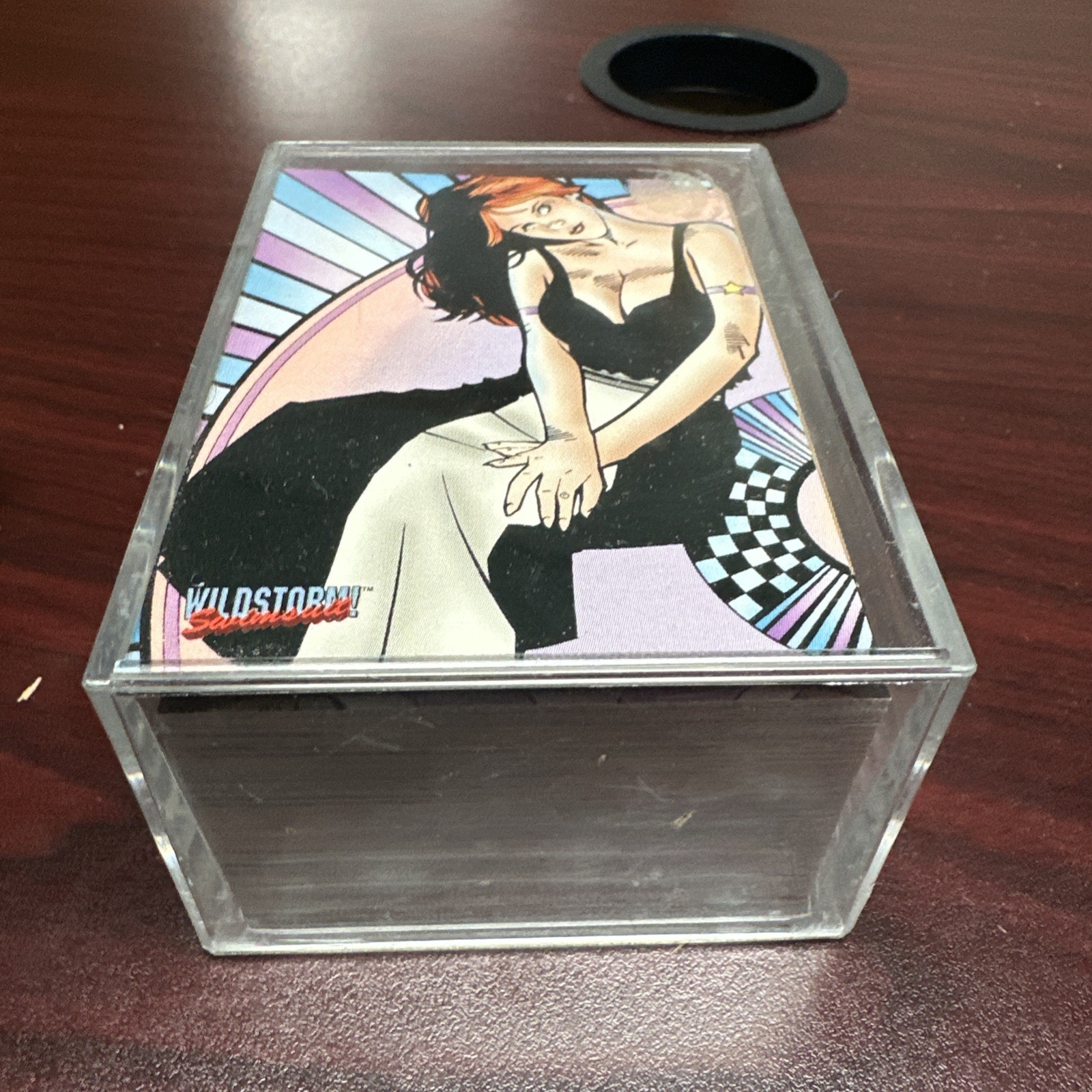 1996 WILDSTORM SWIMSUIT 99 CARD Base SET Near Mint w/ Plastic Case 1996 WILDSTORM SWIMSUIT 99 CARD Base SET Near Mint w/ Plastic Case