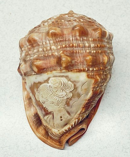 VINTAGE HAND CARVED CAMEO CLASSICAL WOMAN PROFILE BULLMOUTH HELMET SHELL - ITALY VINTAGE HAND CARVED CAMEO CLASSICAL WOMAN PROFILE BULLMOUTH HELMET SHELL - ITALY