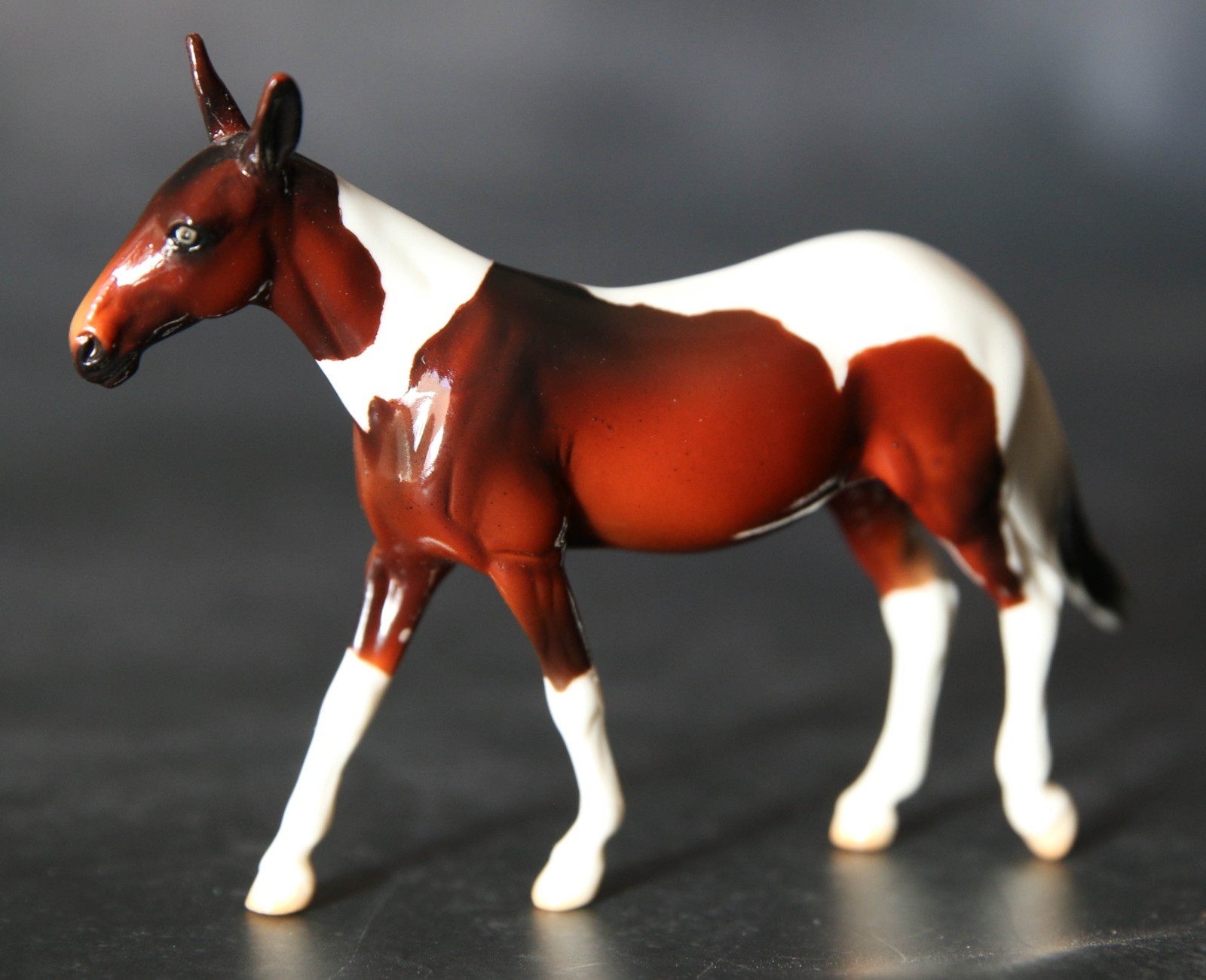 Peter Stone Chip Mule First Release 2008 Bay Pinto Glossy Nice LE 100 Peter Stone Chip Mule First Release 2008 Bay Pinto Glossy Nice LE 100