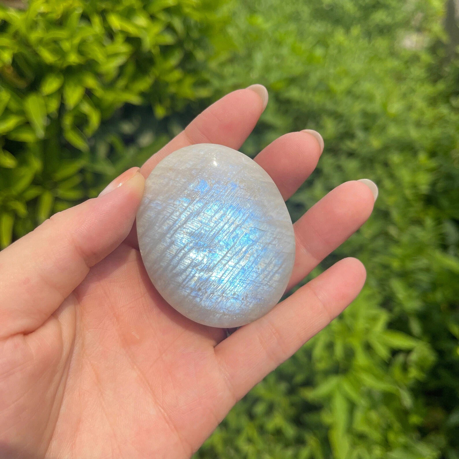 Natural Rainbow Moonstone Crystal Palm Stone Tumbled Stone Home Decor Gift Natural Rainbow Moonstone Crystal Palm Stone Tumbled Stone Home Decor Gift