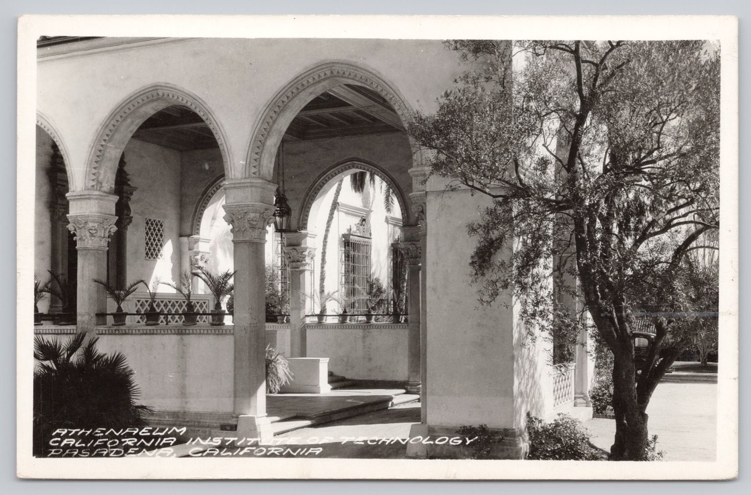 Athenaeum California Institute of Technology Pasadena Vintage RPPC Athenaeum California Institute of Technology Pasadena Vintage RPPC