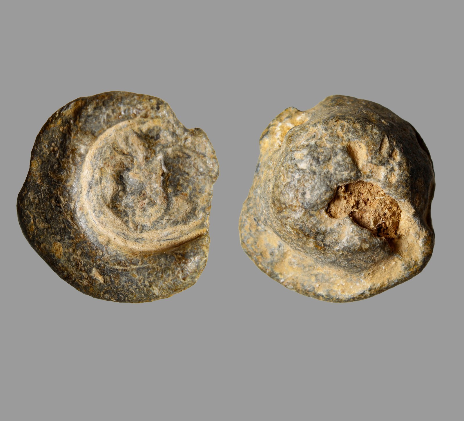 VERY RARE 1200BC Ancient Near East / Mesopatamia Bulla PB Seal Bull of Fertility VERY RARE 1200BC Ancient Near East / Mesopatamia Bulla PB Seal Bull of Fertility