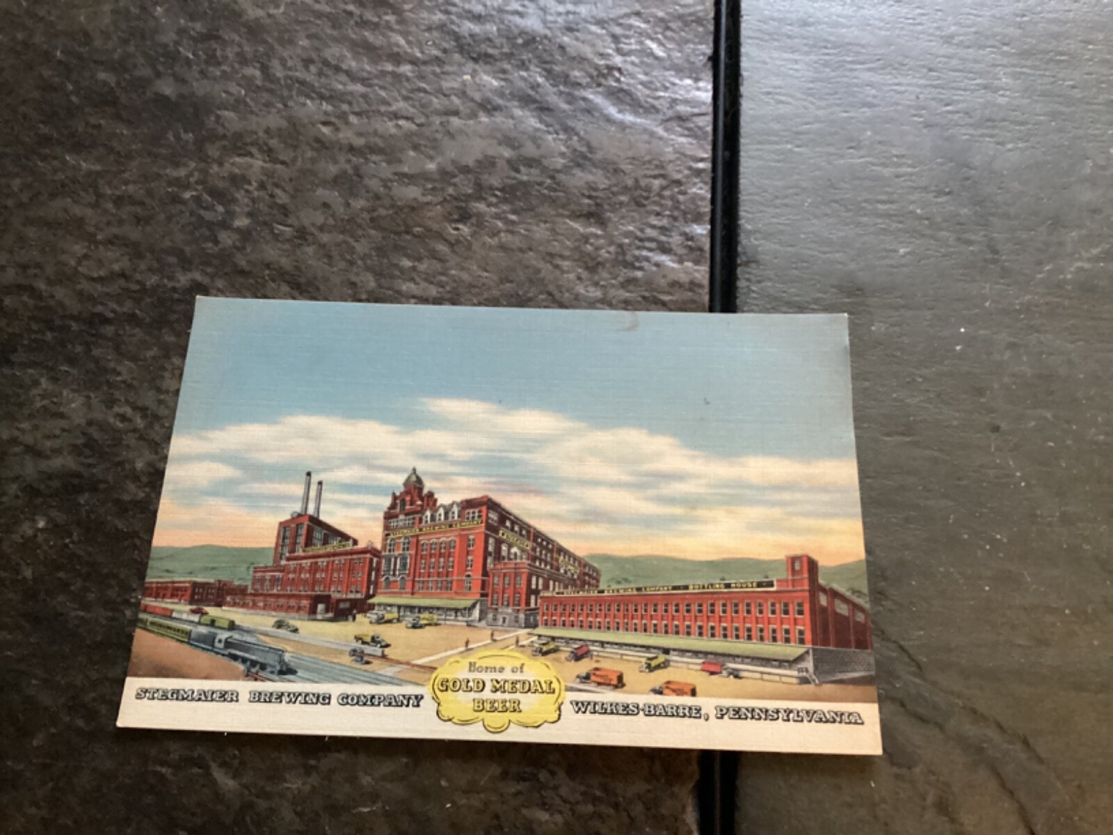Stegmaier Brewing Company Brewery Postcard Stegmaier Brewing Company Brewery Postcard