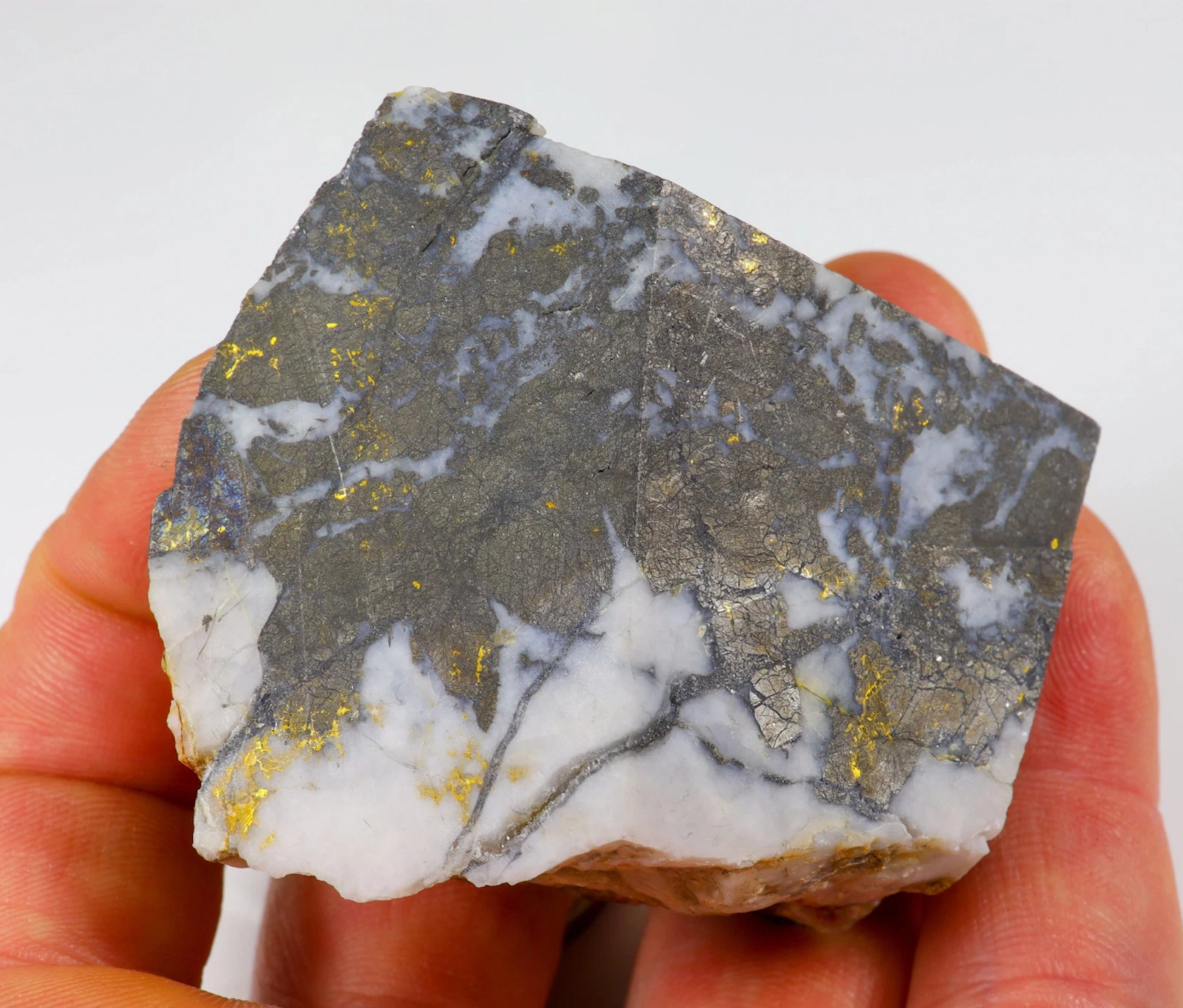 Gold-Bearing 102.04g Quartz Slab - Genuine from Sierra Nevada, California Gold-Bearing 102.04g Quartz Slab - Genuine from Sierra Nevada, California