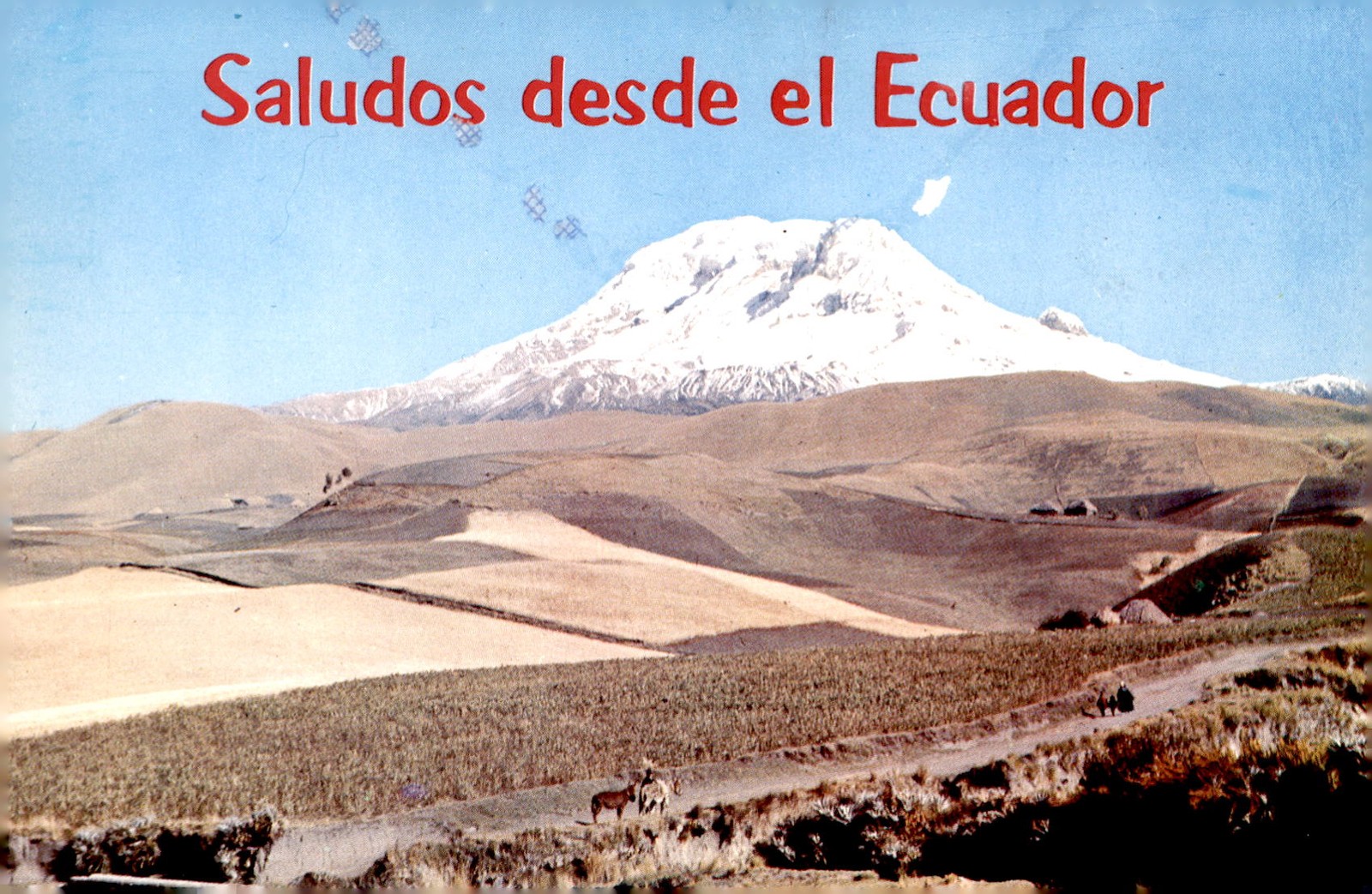 Chimborazo, 'The Sultan of the Andes', Ecuador, S. Am. Postcard Chimborazo, 'The Sultan of the Andes', Ecuador, S. Am. Postcard