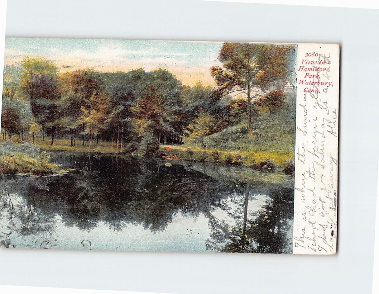 Postcard View in Hamilton Park Waterbury Connecticut USA