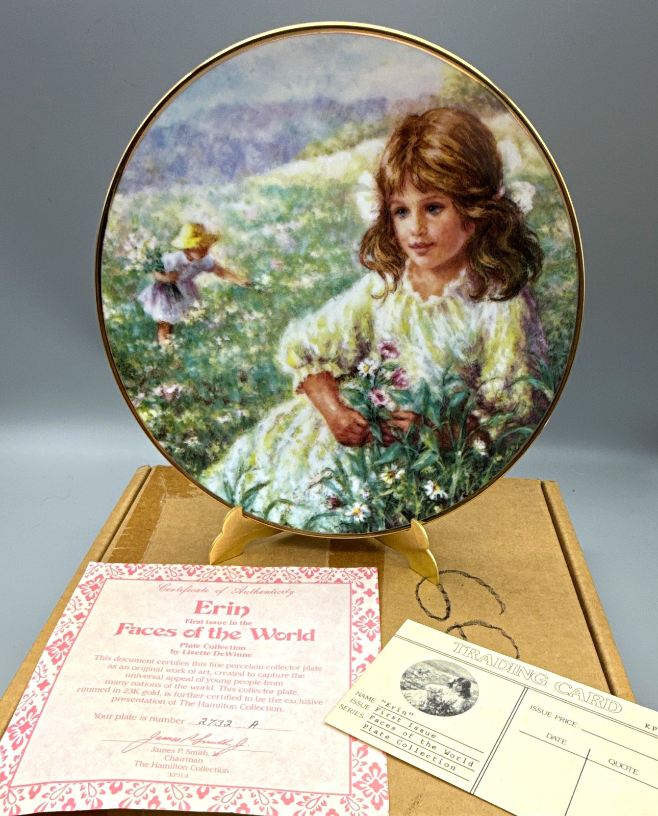 Hamilton Collection Faces of the World ERIN of Ireland Porcelain Collector Plate