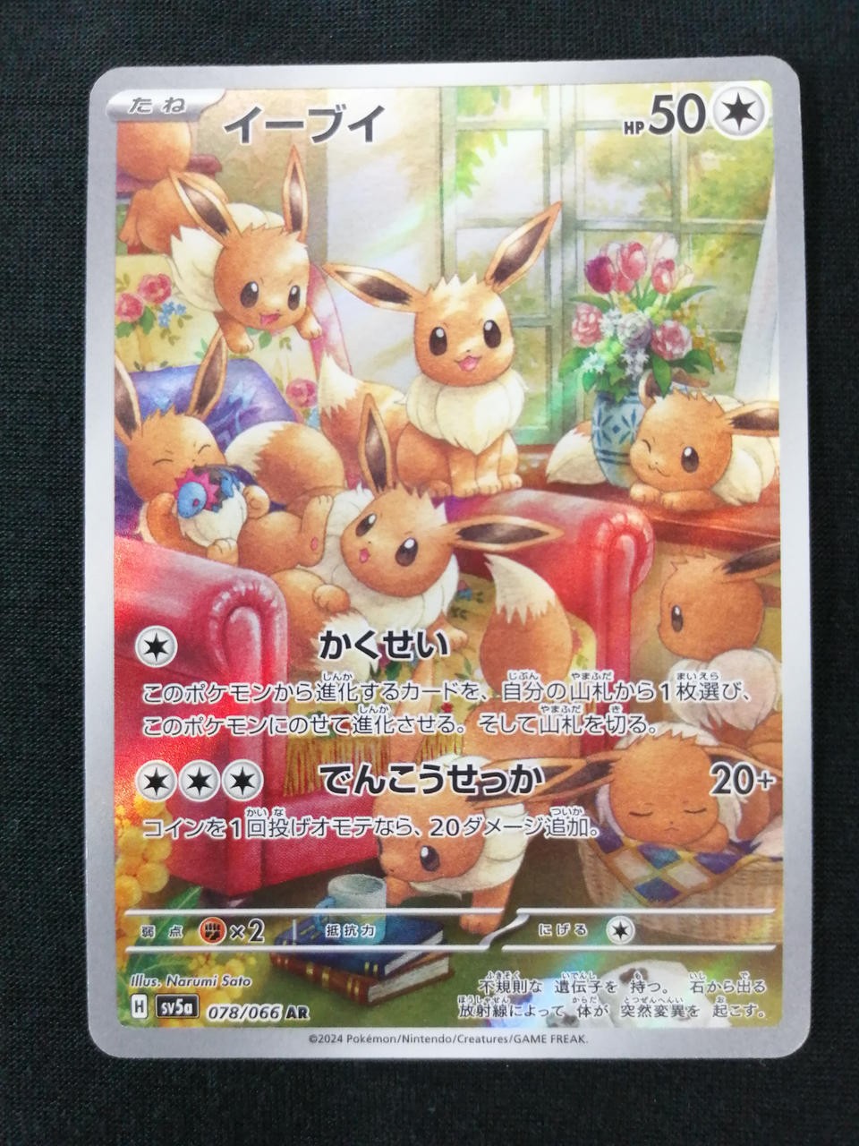 Eevee Model 078/066 Pokemon Company