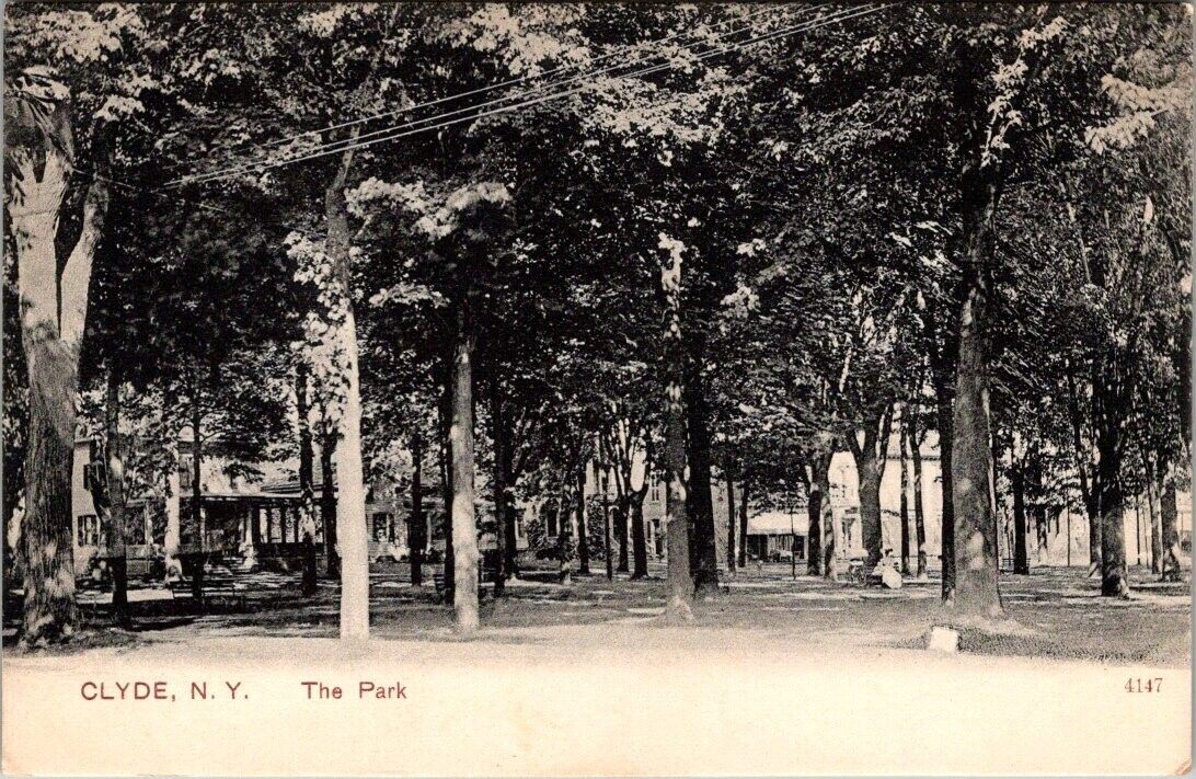 Clyde, N.Y., The Park, Post Card, c1906, #1936