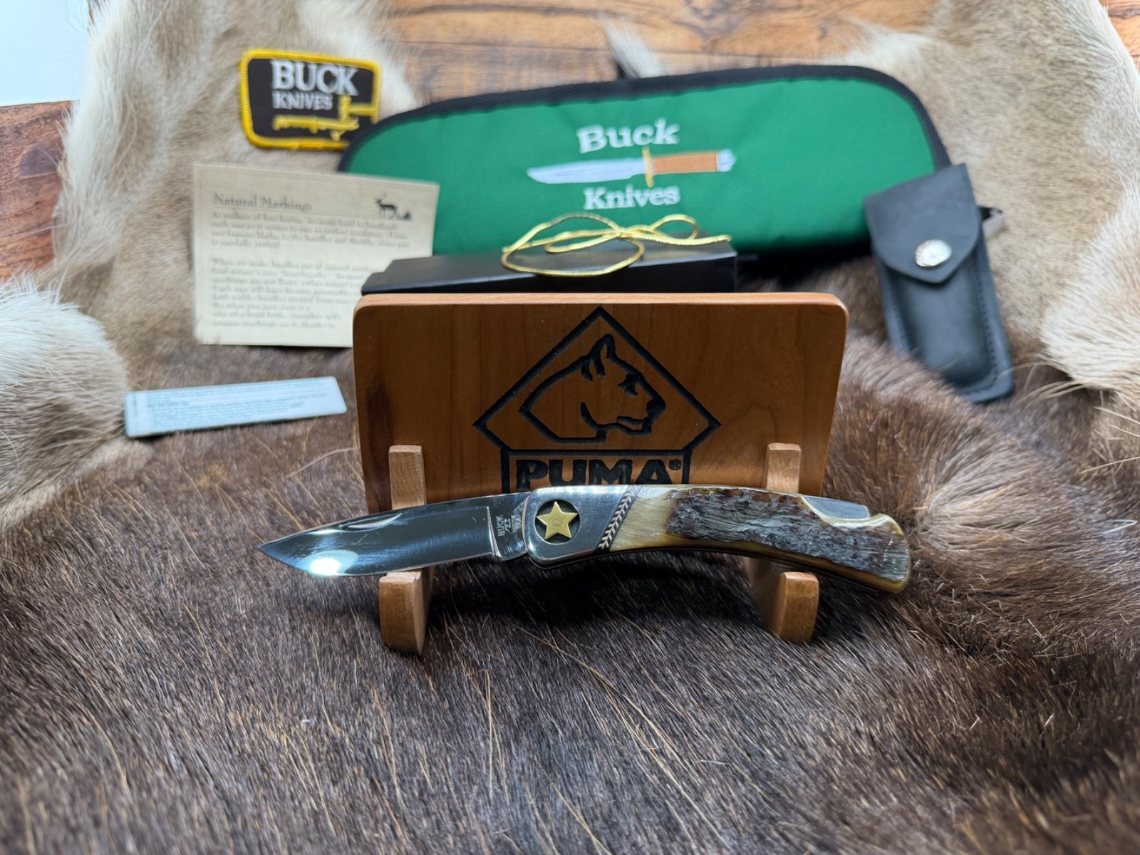 2002 Buck Duke "B500-LE1-0" Rams Horn Handle & Leather Sheath Mint Rare 2002 Buck Duke "B500-LE1-0" Rams Horn Handle & Leather Sheath Mint Rare