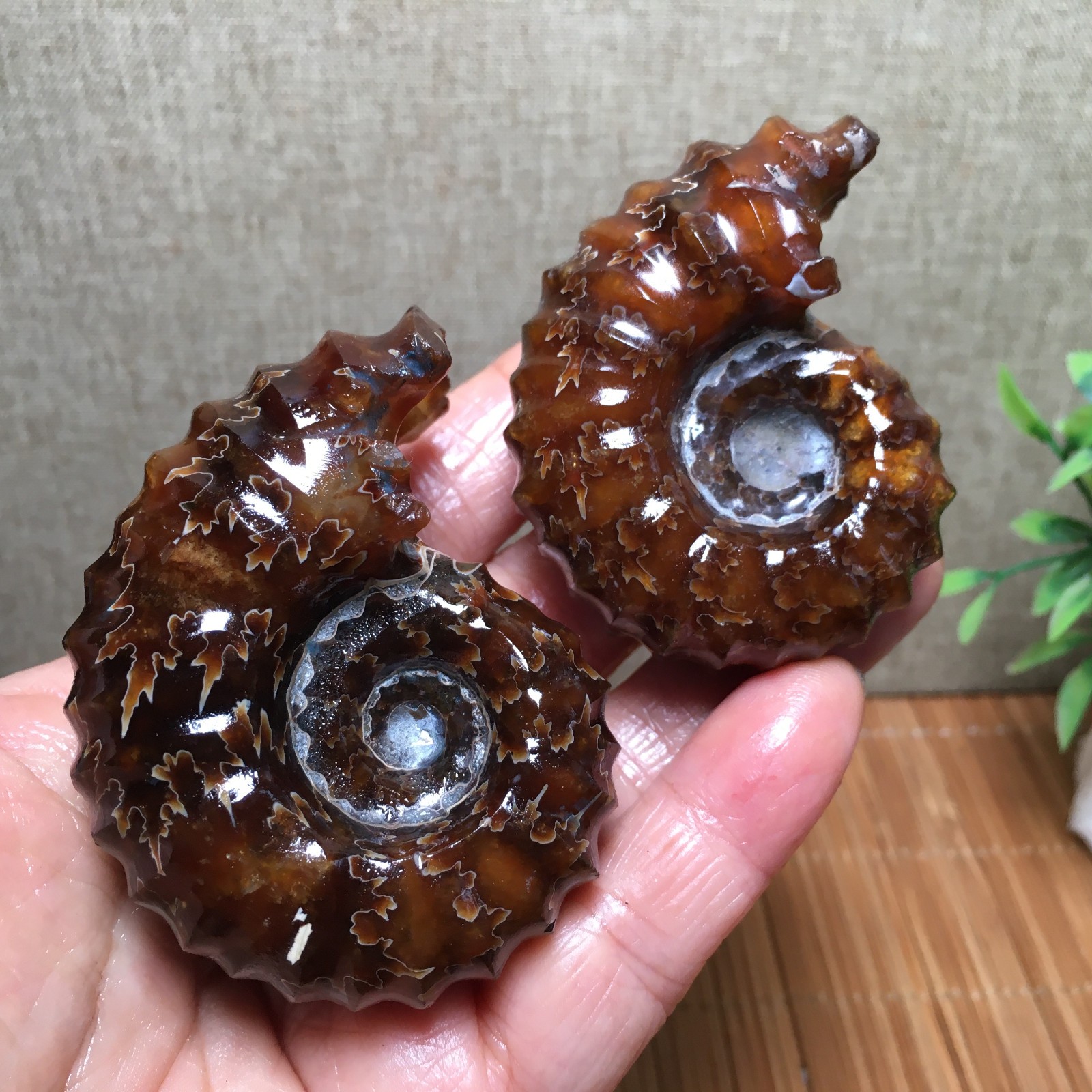 168g2pc  Natural  Stone sculptor decoration specimens of Madagascar   fb1937