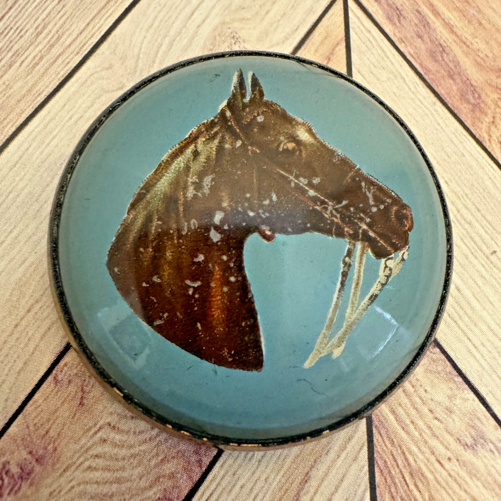 One Bridle Rosette Horse's Head Blue Background Brass and Glass