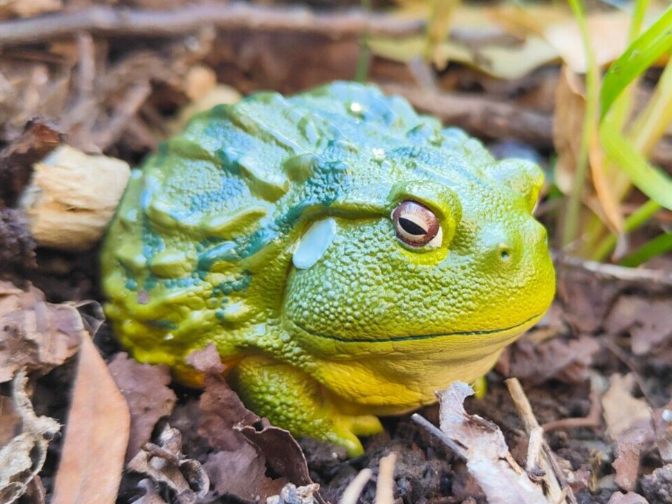 【In-Stock】 Animal Heavenly Body African Bullfrog Frog Collectible Statue 【In-Stock】 Animal Heavenly Body African Bullfrog Frog Collectible Statue