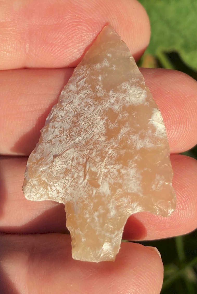 Extremely Beautiful, Almost Clear, Yellow Coral Newnan - 1 7/8" x 1 3/16" Extremely Beautiful, Almost Clear, Yellow Coral Newnan - 1 7/8" x 1 3/16"