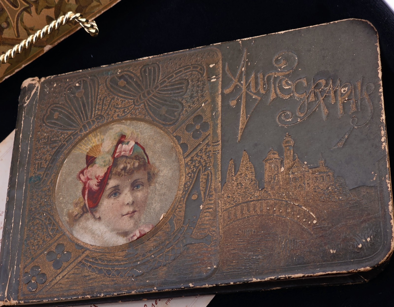 1889 Victorian Autograph Album Pressed Clover Lebanon IL St Louis