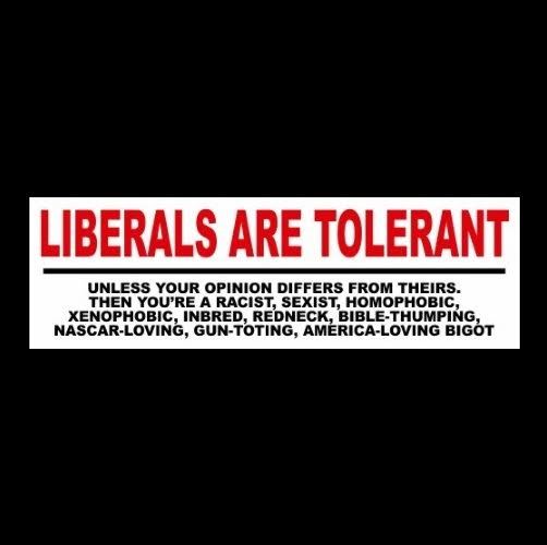 Funny "LIBERALS ARE TOLERANT" Anti Obama Hillary Clinton BUMPER STICKER decal