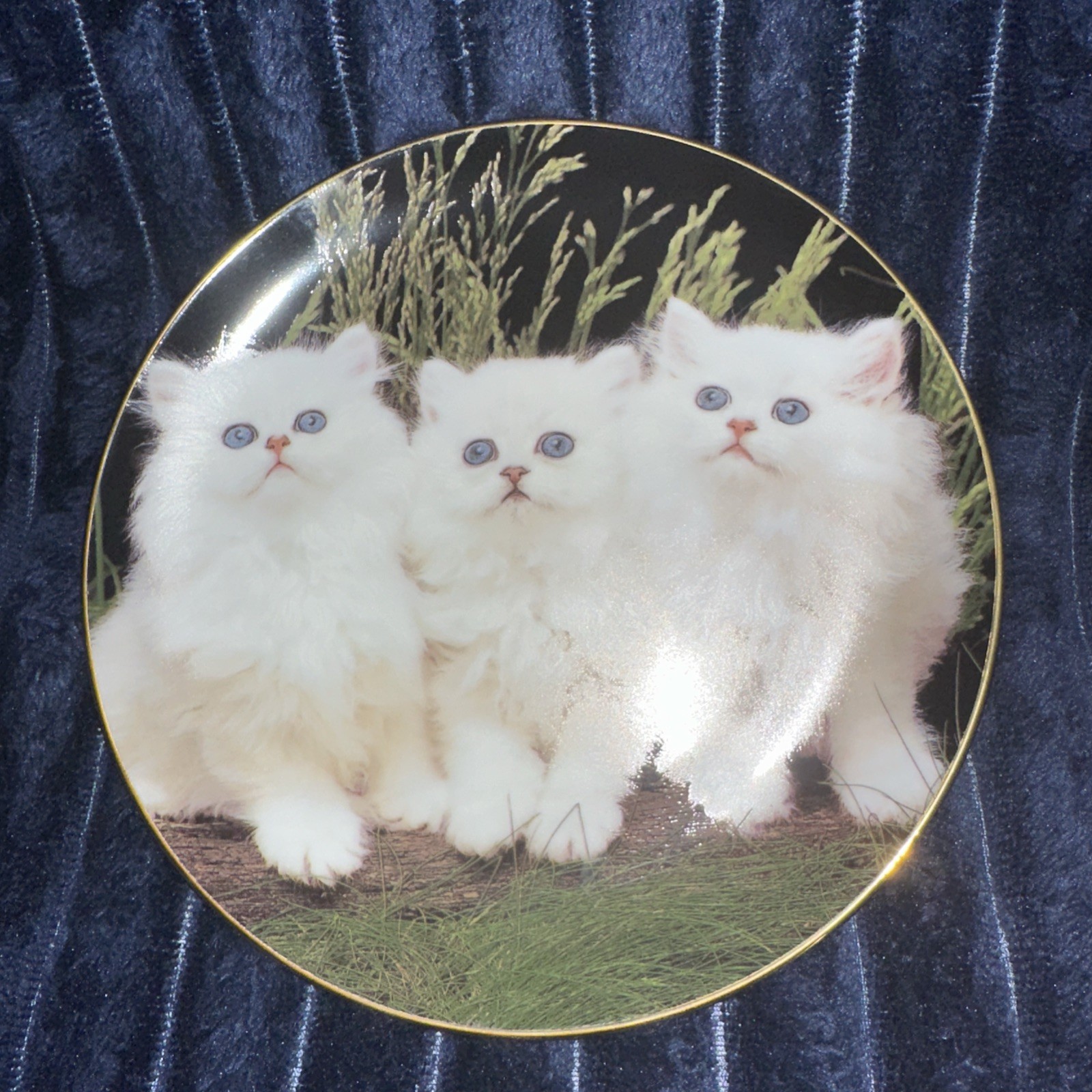 Adorable Danbury Mint 8" Plate, Purrfect Portraits " Fluffy Friends" Adorable Danbury Mint 8" Plate, Purrfect Portraits " Fluffy Friends"