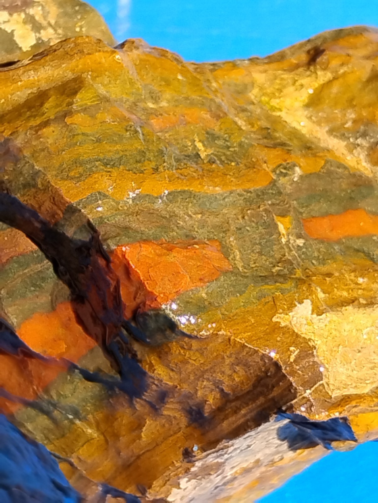 Lapidary Lapidary