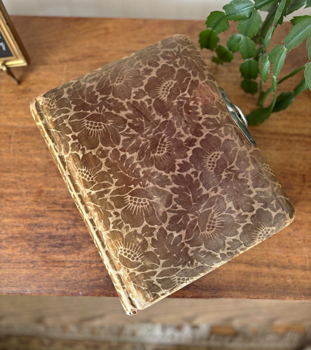 Antique 19th century Velvet Floral Photograph Album Metal Clasp + Photos 