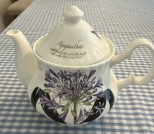Vintage Creative Tops Northamptonshire Agapanthus Flower Pot Teapot lid England picture