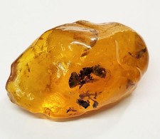148 Ct Natural Raw Baltic Amber Specimen with Insect Fossil Inclusion Amber picture