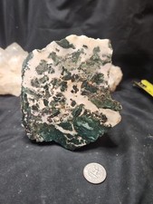 Hampton Butte End Cut Specimen (2lb 7 oz) picture