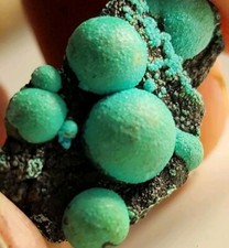 Chrysocolla - Planet Mine, Santa Maria Mining District, La Paz County, Arizona picture