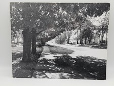 6 Vintage H.L. Mole Mundelein IL Photos 1950s Mounted Black & White Prints 14x11 picture