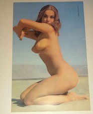 Vintage 1950s Diane Weber Pinup Photo Art Mosaic Los Angeles Magazine Layout Set picture