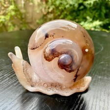 350G Natural Agate Hand Carved Snail Crystal Healing Stone Decor With Stand picture