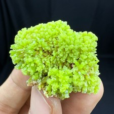 24G BEST Natural Pyromorphite Crystal Quartz Minerals Specimens picture