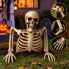 Realistic Halloween Skeleton Decoration with Movable Joints, Outdoor Yard Party picture