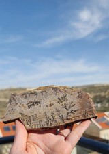 A beautiful stone from Sinai mountain with a burning bush picture