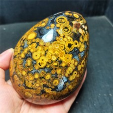 Rare 773G Natural Inner Mongolia Gobi Eye Agate Geode Collection Healing WD1460 picture
