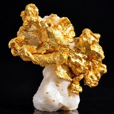 Native Precious Gold Minerals On Matrix Pilbara, Western Australia picture