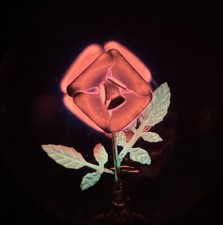 Vintage Aerolux Rose Neon Glow Light Bulb Flower Art Deco MCM Night Light VTG picture