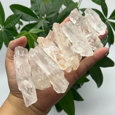 1Piece Raw White Clear Skeleton Quartz Crystal One Random Piece Shipped picture