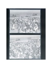 1930 East Boston Airport Air Meet Crowd Biplanes Logan Field Glass Negatives (2) picture