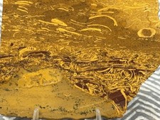 Beautiful Script Stone Jasper Slab, Lot#340 picture