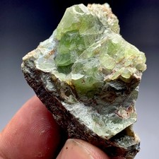 241 CT Terminated Natural Peridot Crystals Bunch SpecimenFrom Pakistan picture