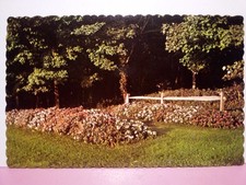 Tamaqua PA Heislers Golfland and Dairy Bar garden 70s picture