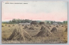 c.1909 Blackfoot Idaho Grain Field Granville Photo Hand Colored Postcard A7 picture