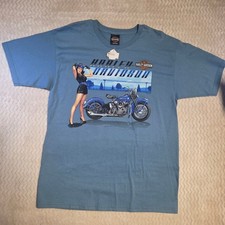 Men's Harley-Davidson Graphic Tee Shirt Size L Blue Black picture