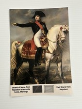 Napoleon Bonaparte & Marengo Mane Horse Hair Strand Lock Piece Speck Relic picture
