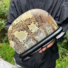 4LB Natural Chinese tree like limestone image, stone Guohua ball picture
