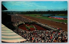 Hollywood Park Race Track Inglewood California Horse Racing Postcard picture