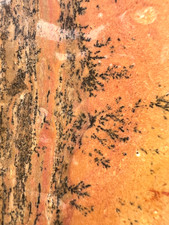 NEW - Pink Maria(and Orange) Dendritic Picture Jasper - 154g picture