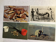 WA Coast LOT Includes   Clam Digging + Geoduck ; 4 card LOT has 1 RPPC picture