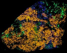 XL 5lbs SW UV Fluorescent Rich Clinohedrite Hardystonite & Willemite Franklin NJ picture