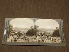 VINTAGE STEREOVIEW STEREOSCOPE CARD SNOW CAPPED POPOCATEPETL picture